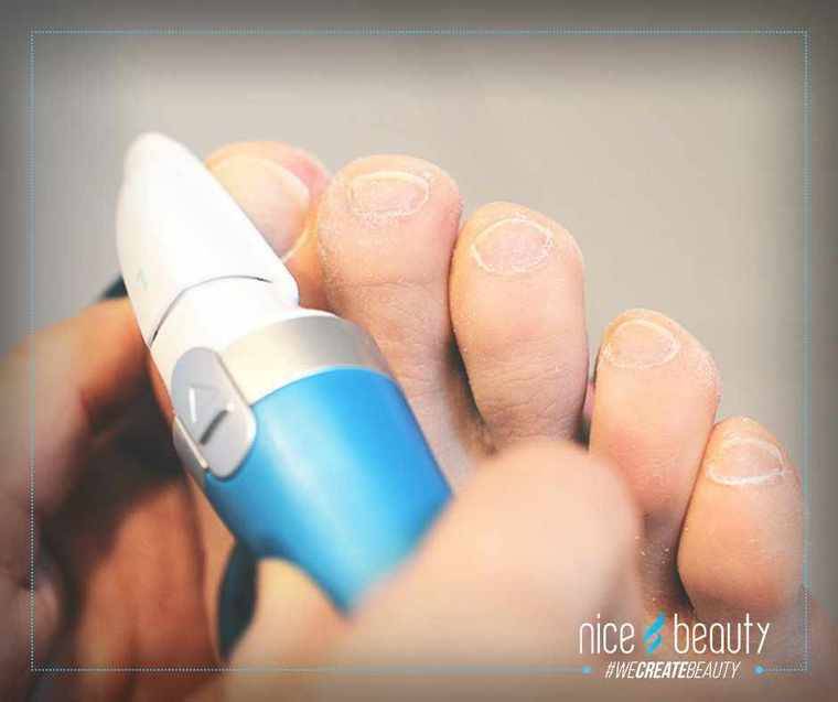 Voorbereiding voor de zomer met Scholl!