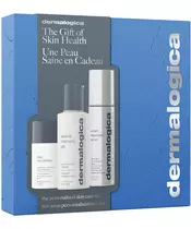 Dermalogica The Personalized Skin Care Gift Set (Limited Edition)