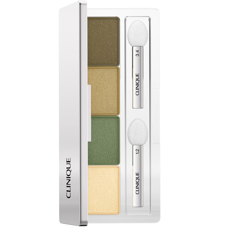 Clinique All About Shadow Quad 3,3 g - On Safari