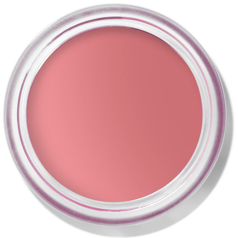 Bobbi Brown Pot Rouge Velvet Matte Tea Rose 1