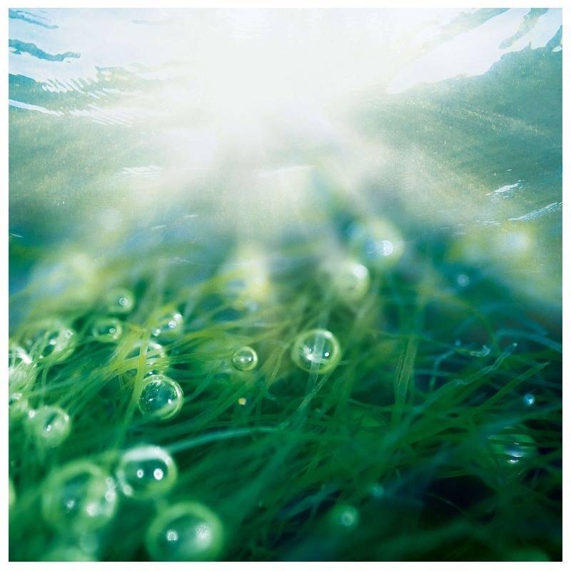 biotherm skin oxygen deep cleanser