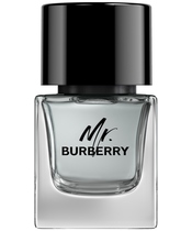 Burberry Mr. Burberry For Him EDT 50 ml