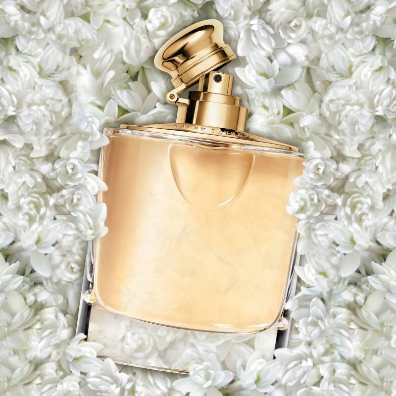 perfume woman ralph lauren 100 ml