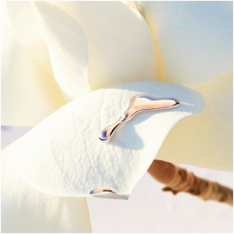 alive eau de toilette