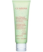 Clarins Purifying Gentle Foaming Cleanser 125 ml