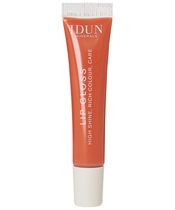 IDUN Minerals Lipgloss 6 ml - Anna
