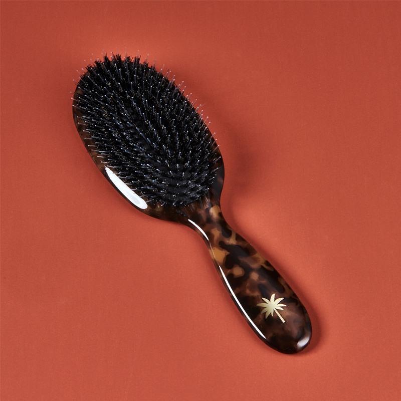 Fan Palm Hair Brush Medium Turtle
