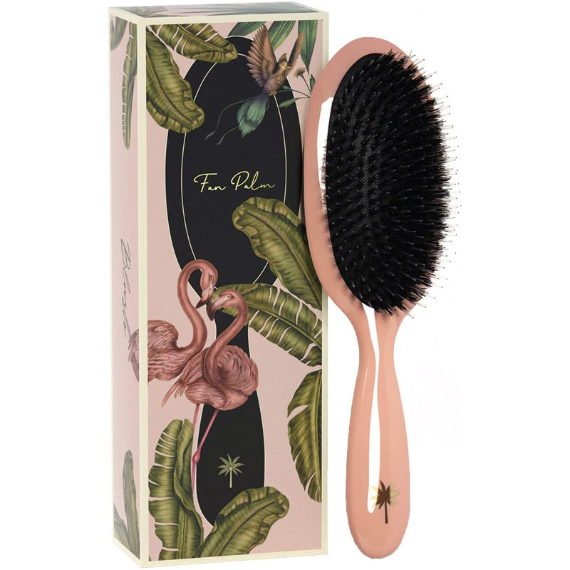 Fan Palm Hair Brush Medium - Blush thumbnail